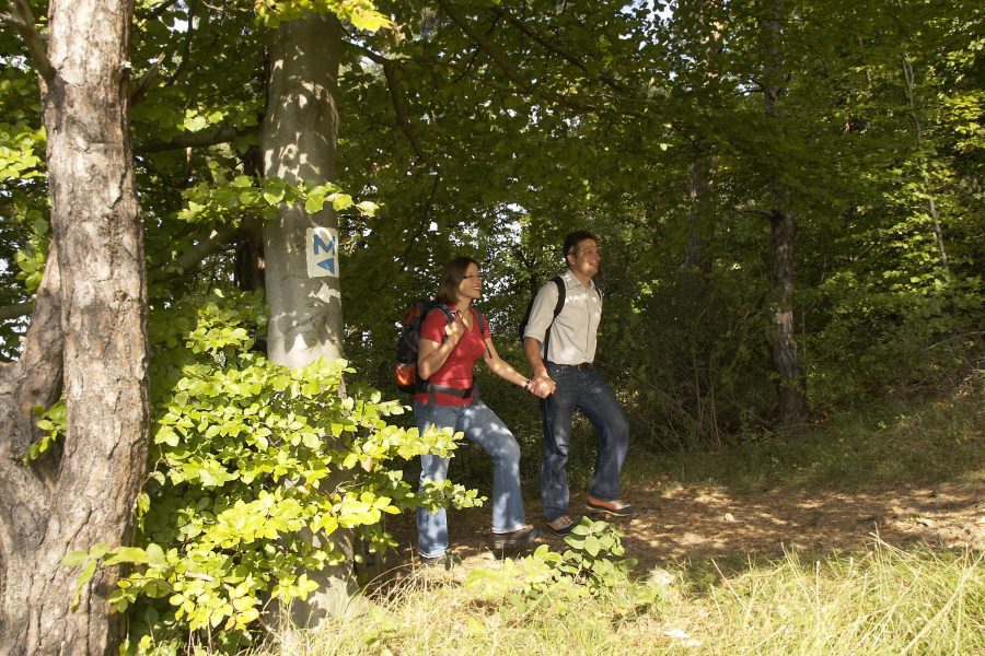 trenner 1 main spessart